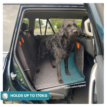 Dog Seat Cover - 60% OFF