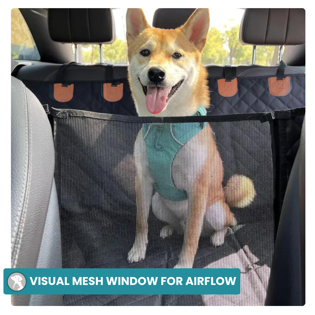 Dog Seat Cover - 60% OFF